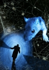 Dream Life Rats Foto